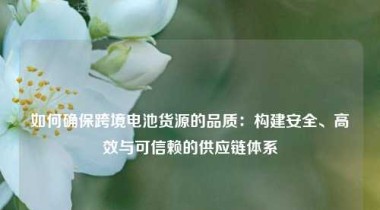 如何确保跨境电池货源的品质：构建安全、高效与可信赖的供应链体系