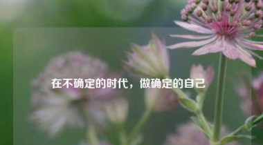 在不确定的时代，做确定的自己  