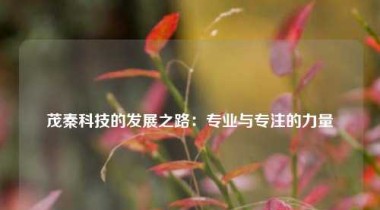 茂秦科技的发展之路：专业与专注的力量