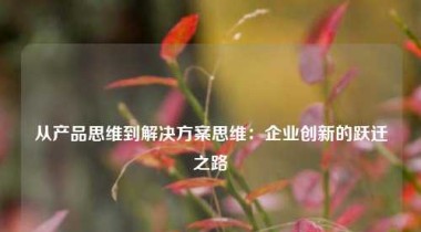 从产品思维到解决方案思维：企业创新的跃迁之路