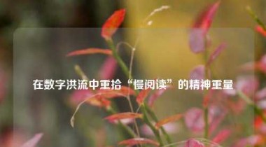 在数字洪流中重拾“慢阅读”的精神重量