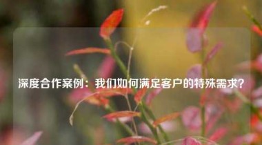 深度合作案例：我们如何满足客户的特殊需求？