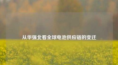 从华强北看全球电池供应链的变迁