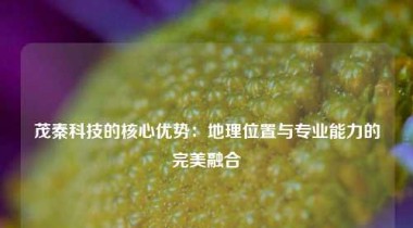 茂秦科技的核心优势：地理位置与专业能力的完美融合