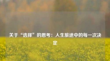 关于“选择”的思考：人生旅途中的每一次决定