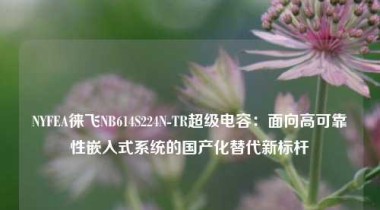 NYFEA徕飞NB614S224N-TR超级电容：面向高可靠性嵌入式系统的国产化替代新标杆