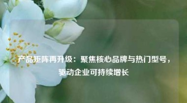 产品矩阵再升级：聚焦核心品牌与热门型号，驱动企业可持续增长