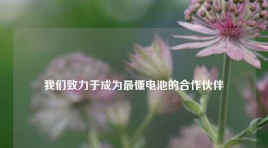 我们致力于成为最懂电池的合作伙伴