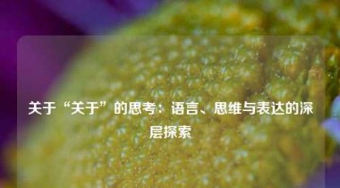 关于“关于”的思考：语言、思维与表达的深层探索