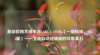 原装欧姆龙继电器G6RL-1-24VDC（一组转换、8A、5脚）——工业自动化领域的可靠基石  