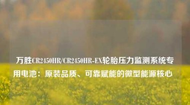 万胜CR2450HR/CR2450HR-EX轮胎压力监测系统专用电池：原装品质、可靠赋能的微型能源核心  