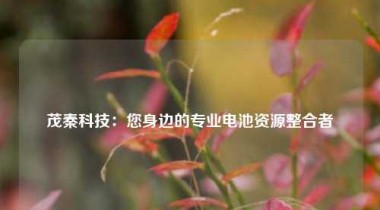 茂秦科技：您身边的专业电池资源整合者