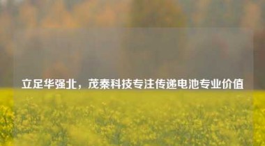 立足华强北，茂秦科技专注传递电池专业价值