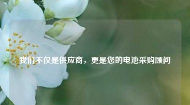 我们不仅是供应商，更是您的电池采购顾问