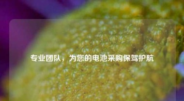 专业团队，为您的电池采购保驾护航