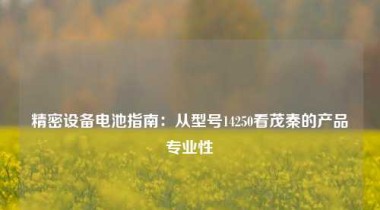 精密设备电池指南：从型号14250看茂秦的产品专业性