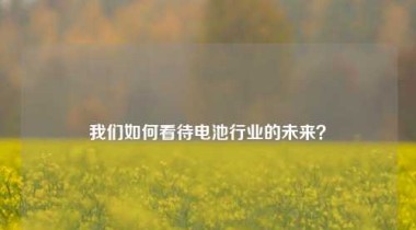 我们如何看待电池行业的未来？