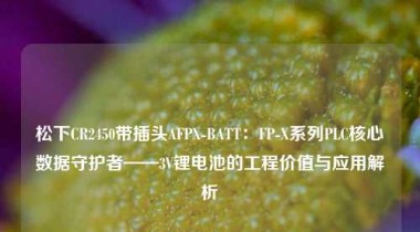 松下CR2450带插头AFPX-BATT：FP-X系列PLC核心数据守护者——3V锂电池的工程价值与应用解析
