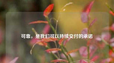 可靠，是我们可以持续交付的承诺