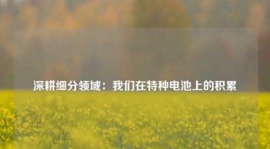 深耕细分领域：我们在特种电池上的积累