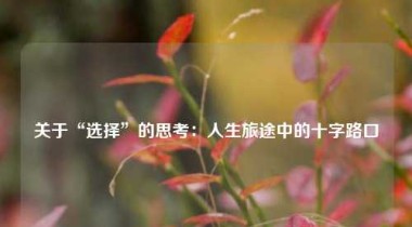 关于“选择”的思考：人生旅途中的十字路口