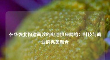 在华强北构建高效的电池供应网络：科技与商业的完美融合