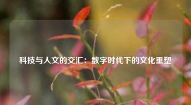 科技与人文的交汇：数字时代下的文化重塑