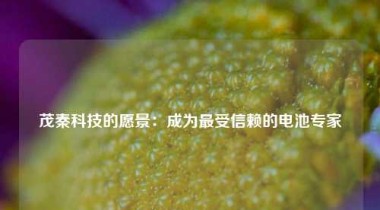 茂秦科技的愿景：成为最受信赖的电池专家