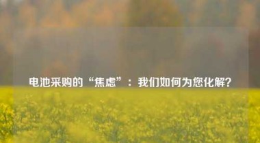 电池采购的“焦虑”：我们如何为您化解？