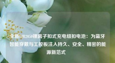 全新LIR2050锂离子扣式充电纽扣电池：为蓝牙智能穿戴与工控板注入持久、安全、精密的能源新范式  