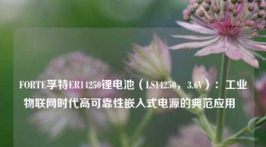 FORTE孚特ER14250锂电池（LS14250，3.6V）：工业物联网时代高可靠性嵌入式电源的典范应用  
