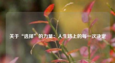 关于“选择”的力量：人生路上的每一次决定