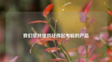 我们坚持提供经得起考验的产品