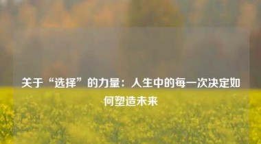 关于“选择”的力量：人生中的每一次决定如何塑造未来