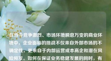 在当今竞争激烈、市场环境瞬息万变的商业环境中，企业面临的挑战不仅来自外部市场的不确定性，更来自于内部运营成本高企和潜在风险频发。如何在保证业务稳健发展的同时，有效降低运营成本并规避各类风险，已成为众多企业亟需解决的核心课题。作为一家致力于为客户提供全方位支持与解决方案的服务机构，我们始终坚持以客户为中心，通过系统化的方法、创新的技术手段以及专业的咨询服务，帮助客户实现降本增效与风险管控的双重目标。