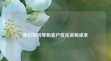 我们如何帮助客户优化采购成本
