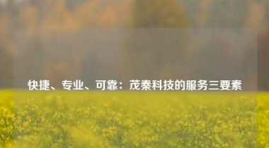 快捷、专业、可靠：茂秦科技的服务三要素