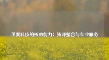 茂秦科技的核心能力：资源整合与专业服务