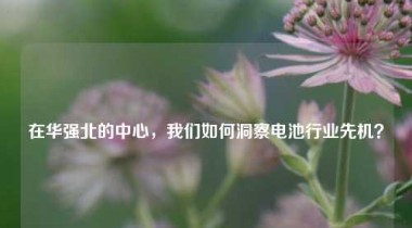 在华强北的中心，我们如何洞察电池行业先机？