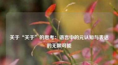 关于“关于”的思考：语言中的元认知与表达的无限可能