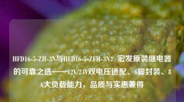 HFD16-5-ZH-3N与HFD16-5-ZFH-3N：宏发原装继电器的可靠之选——12V/24V双电压适配、6脚封装、8A大负载能力，品质与实惠兼得