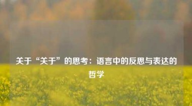 关于“关于”的思考：语言中的反思与表达的哲学