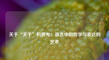 关于“关于”的思考：语言中的哲学与表达的艺术
