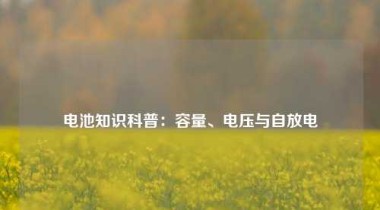 电池知识科普：容量、电压与自放电