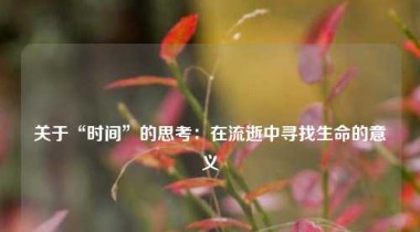 关于“时间”的思考：在流逝中寻找生命的意义