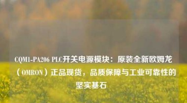 CQM1-PA206 PLC开关电源模块：原装全新欧姆龙（OMRON）正品现货，品质保障与工业可靠性的坚实基石  