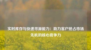 实时库存与快速寻源能力：助力客户抢占市场先机的核心竞争力