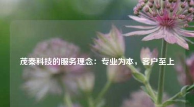 茂秦科技的服务理念：专业为本，客户至上