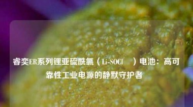 睿奕ER系列锂亚硫酰氯（Li-SOCl₂）电池：高可靠性工业电源的静默守护者  