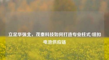 立足华强北，茂秦科技如何打造专业柱式/纽扣电池供应链